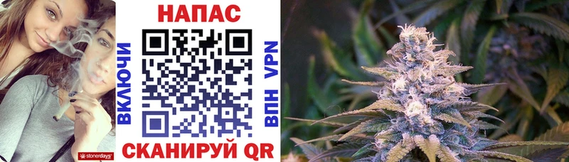 Купить закладку Чёрмоз A-PVP  Конопля  МЕГА ссылка  Галлюциногенные грибы  ГАШ  Мефедрон 