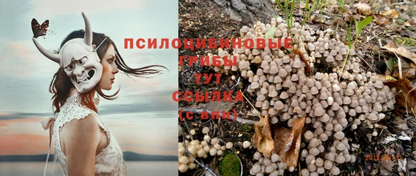 бошки Бугульма