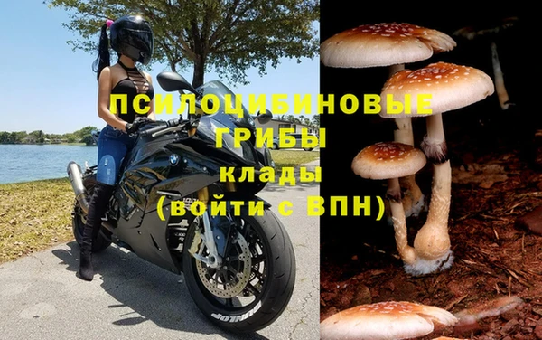 синтетический гашиш Бородино